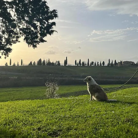 Κατάλυμα σε φάρμα La Torre Di Monsindoli