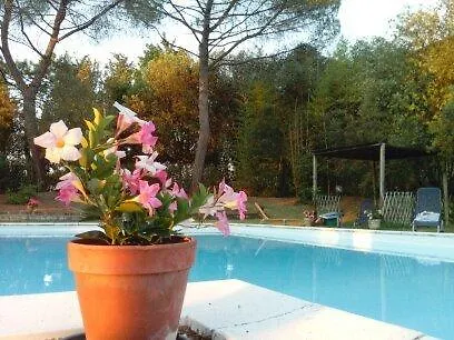 La Torre Di Monsindoli *