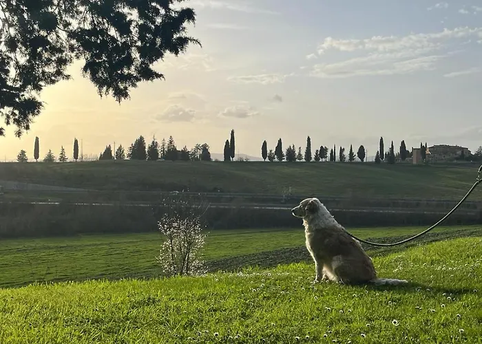 Alloggio per agriturismo La Torre Di Monsindoli