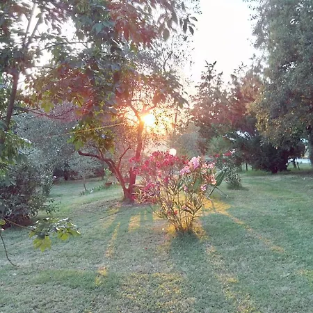 La Torre Di Monsindoli *
