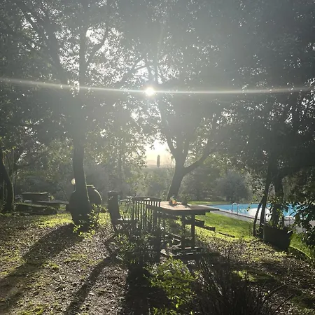 La Torre Di Monsindoli Farm stay Siena